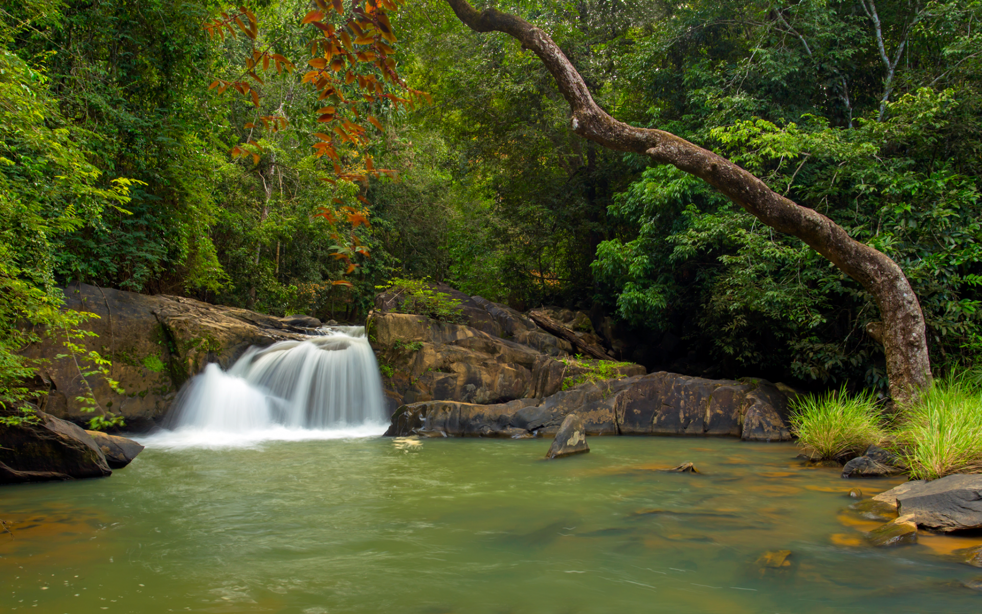 Silent flows the stream