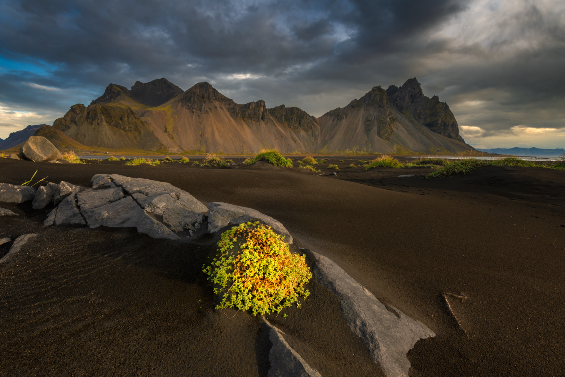 Stokksnes Morning