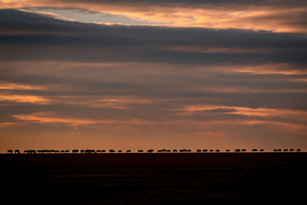 Migration at horizon