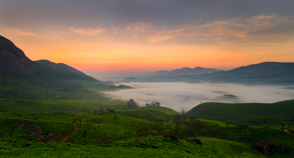 Sunset at Munnar